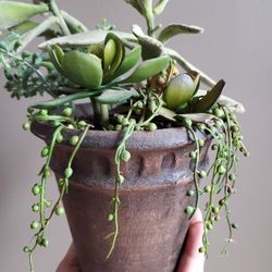 Faux Mix Of Plant In Planter Realistic Heavy