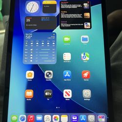 iPad Pro 4th Gen 11inch (128 GB) Cellular Unlocked