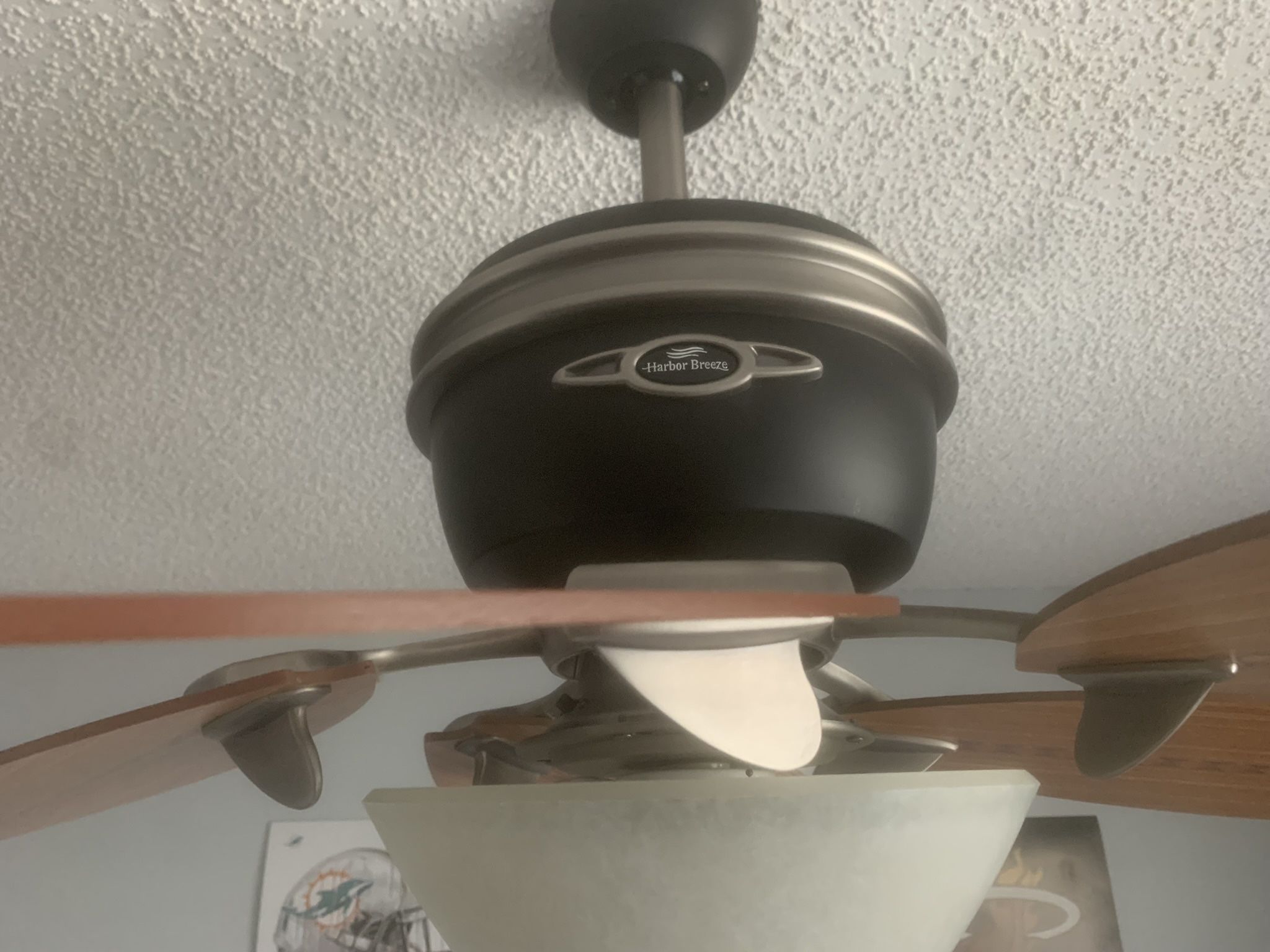 Ceiling Fan - Surfboard Blades