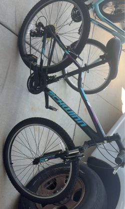 Schwinn Mountain Bike