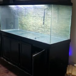 220 Gallon Aquarium & Accessories 