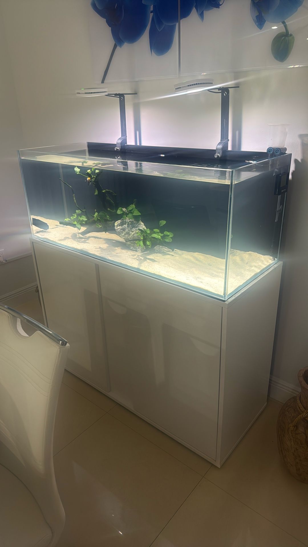Fish Tank