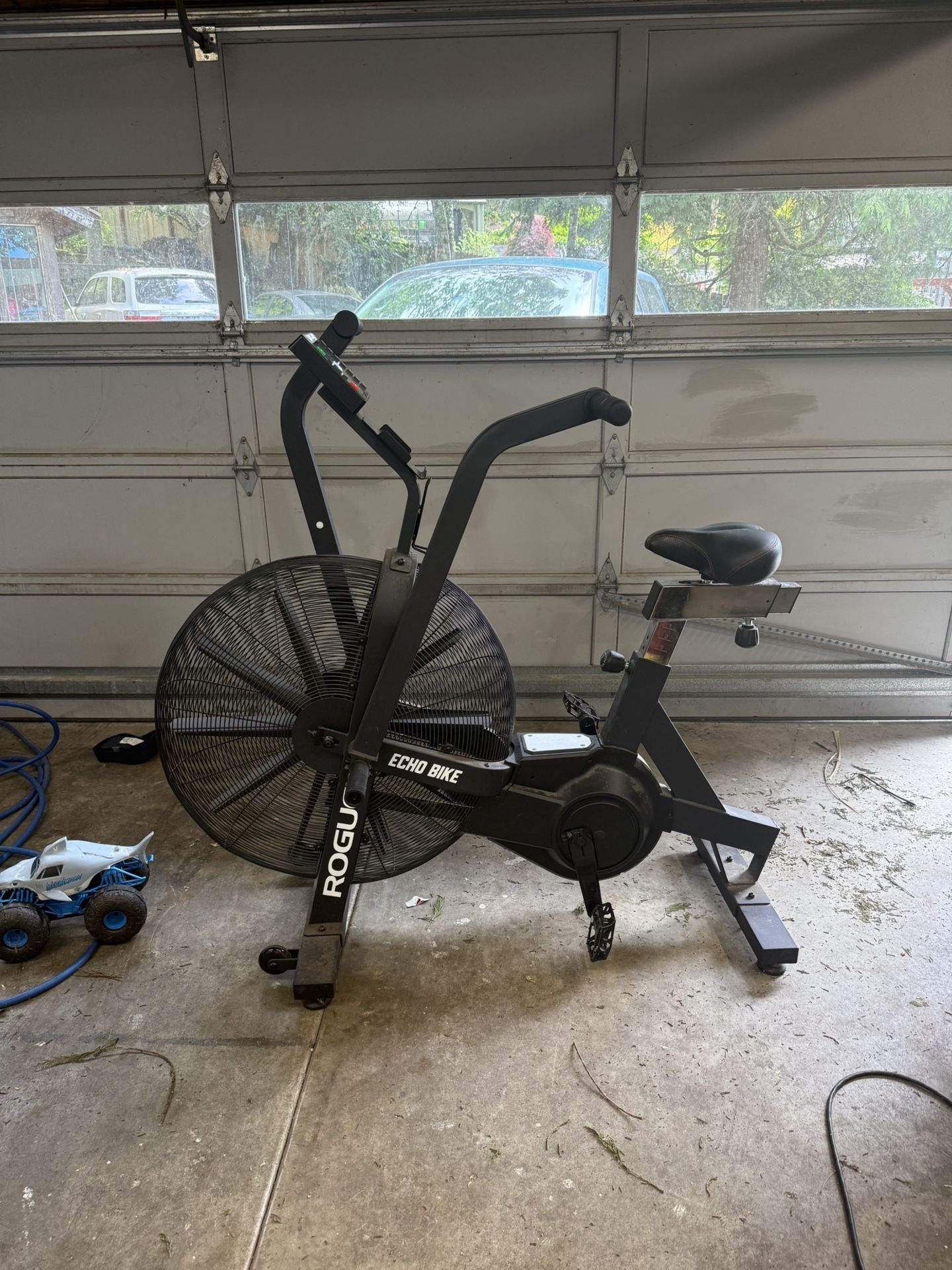 Rogue Echo Bike