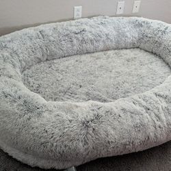 Human Dog Bed
