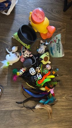 Cat toys
