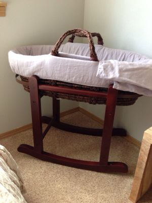 rh moses basket