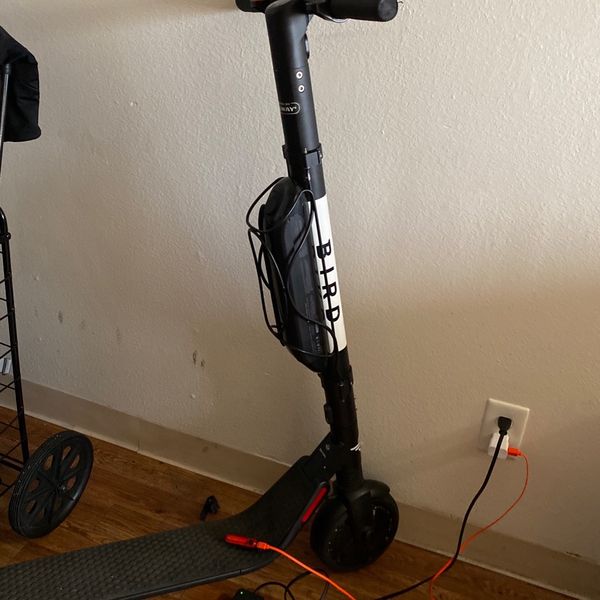 BIRD scooter for Sale in El Cajon, CA OfferUp
