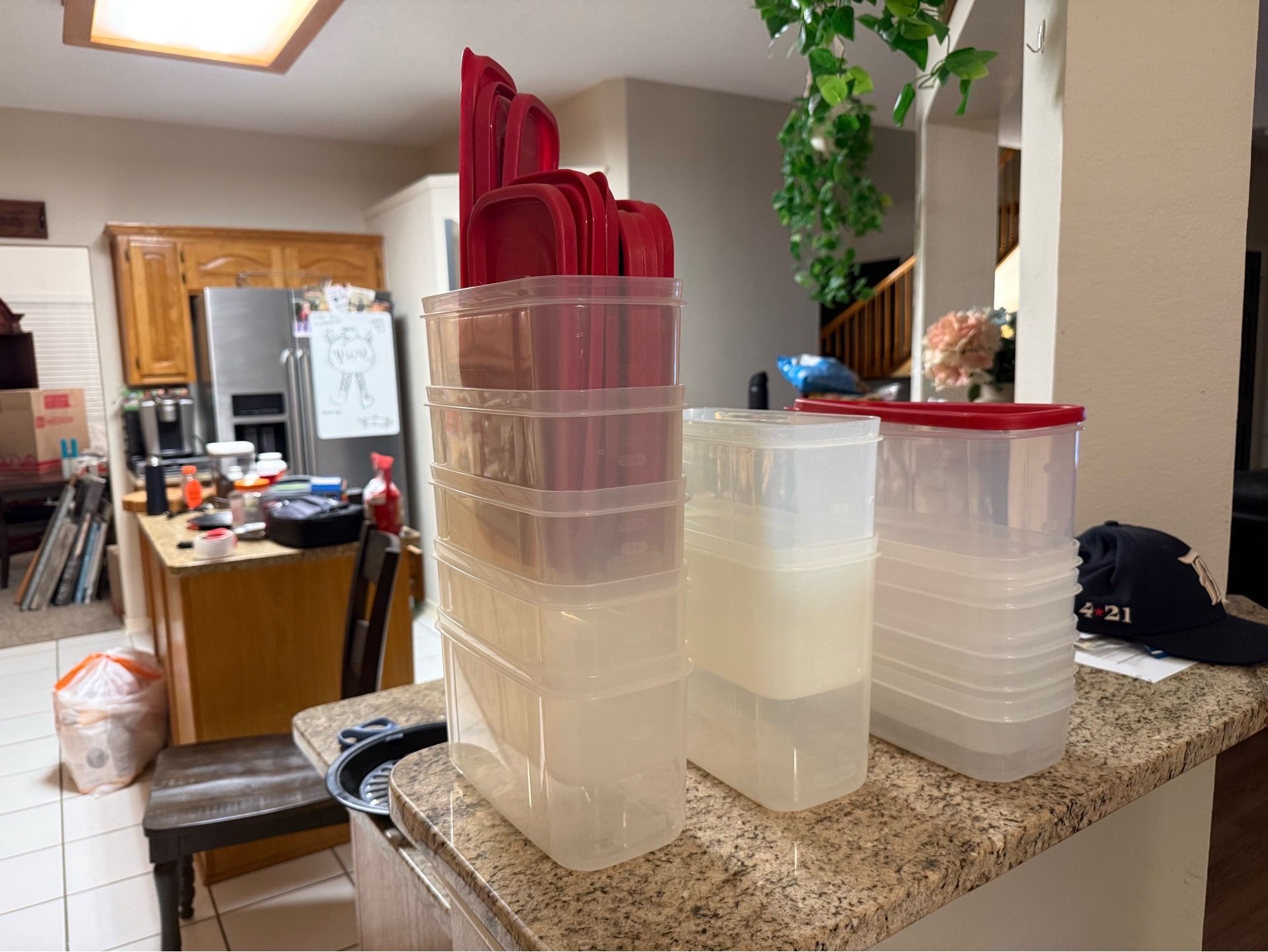Rubbermaid airtight food storage