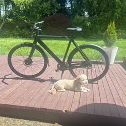Electric bike VANMOOF S3