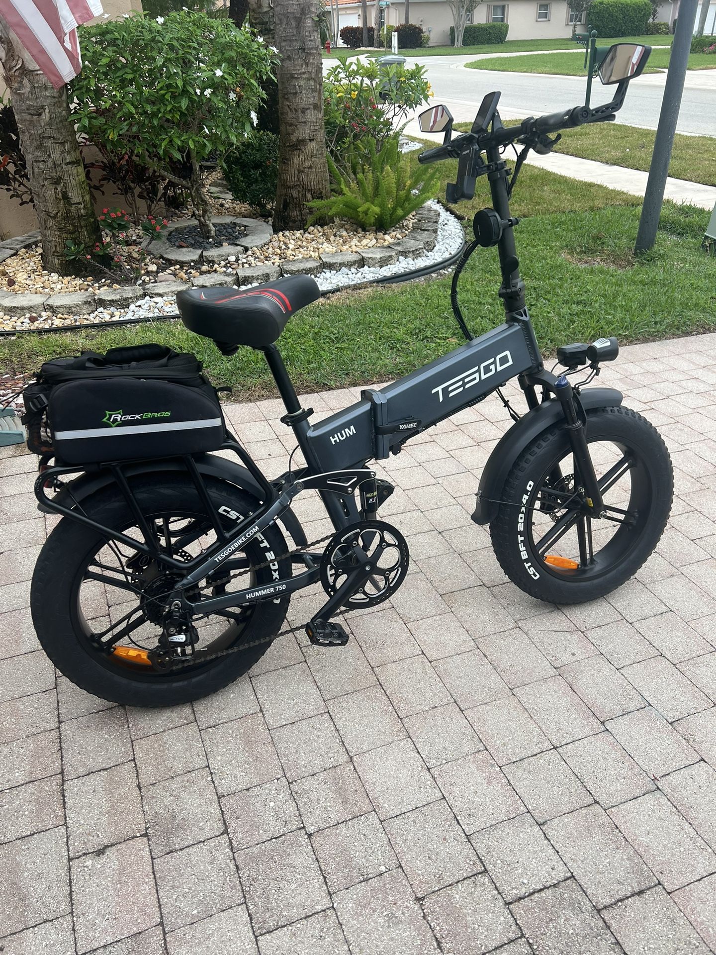 Tesgo 750 Watt Electric Bike