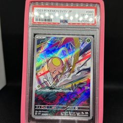 PSA 10 Toedscool Pokemon Slab