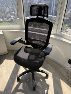 Gabrylly Ergonomic Office Chair – High Back Mesh, Headrest, Flip-Up Arms | Pick up 6/12 or 6/13