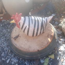 Chicken 