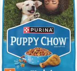 Puppy food freee