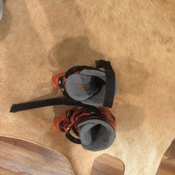 Tecnica Ski Boots