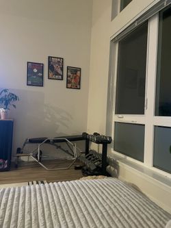 Dumbells/dead lift bar/ curl bar/ bench