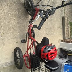 Liberty Trike Motorized Bike