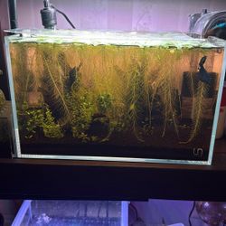 Aquarium 
