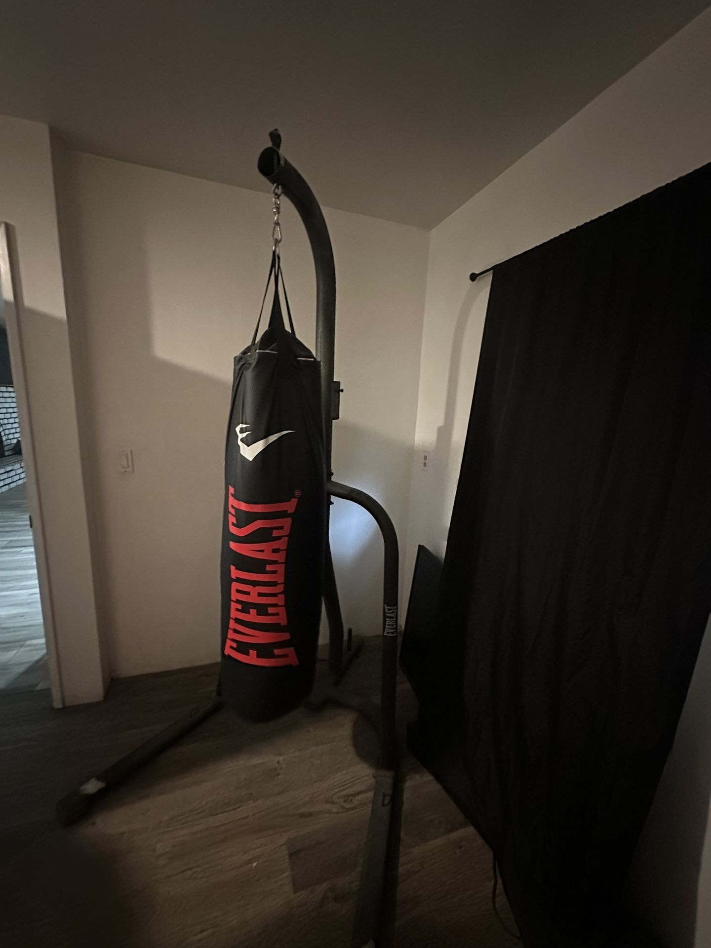 Everlast Punching Bag And Stand