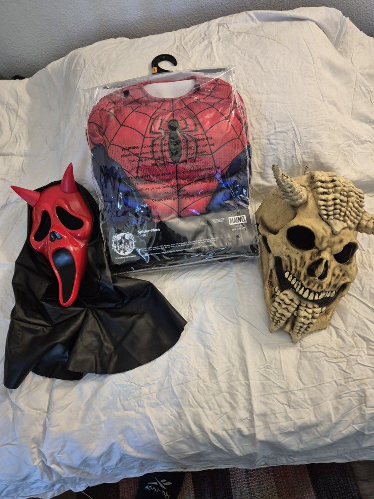 Small Spider Man , Two Masks