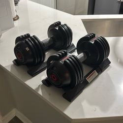 Adjustable Dumbell Set - 22 Lbs