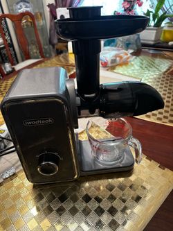 Small Electric Juicer