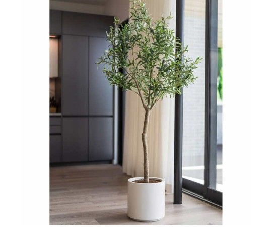 Costco Faux 6.5' Olive Tree