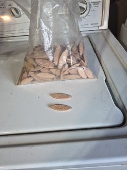 Number 0 Lamelo Biscuits