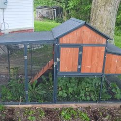 Chicken Coop 