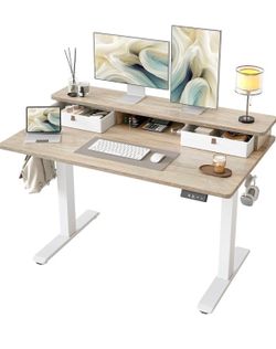 TIQLAB Standing Desk with Two Drawers