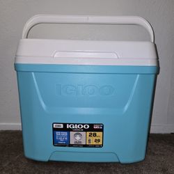 Igloo Cooler 