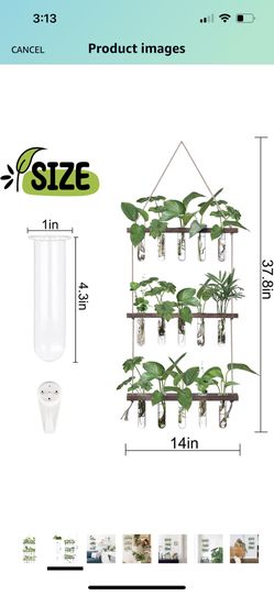 Wall Hanging Propagation Station