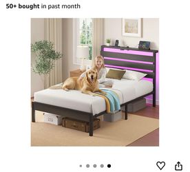 Brand new bed twin