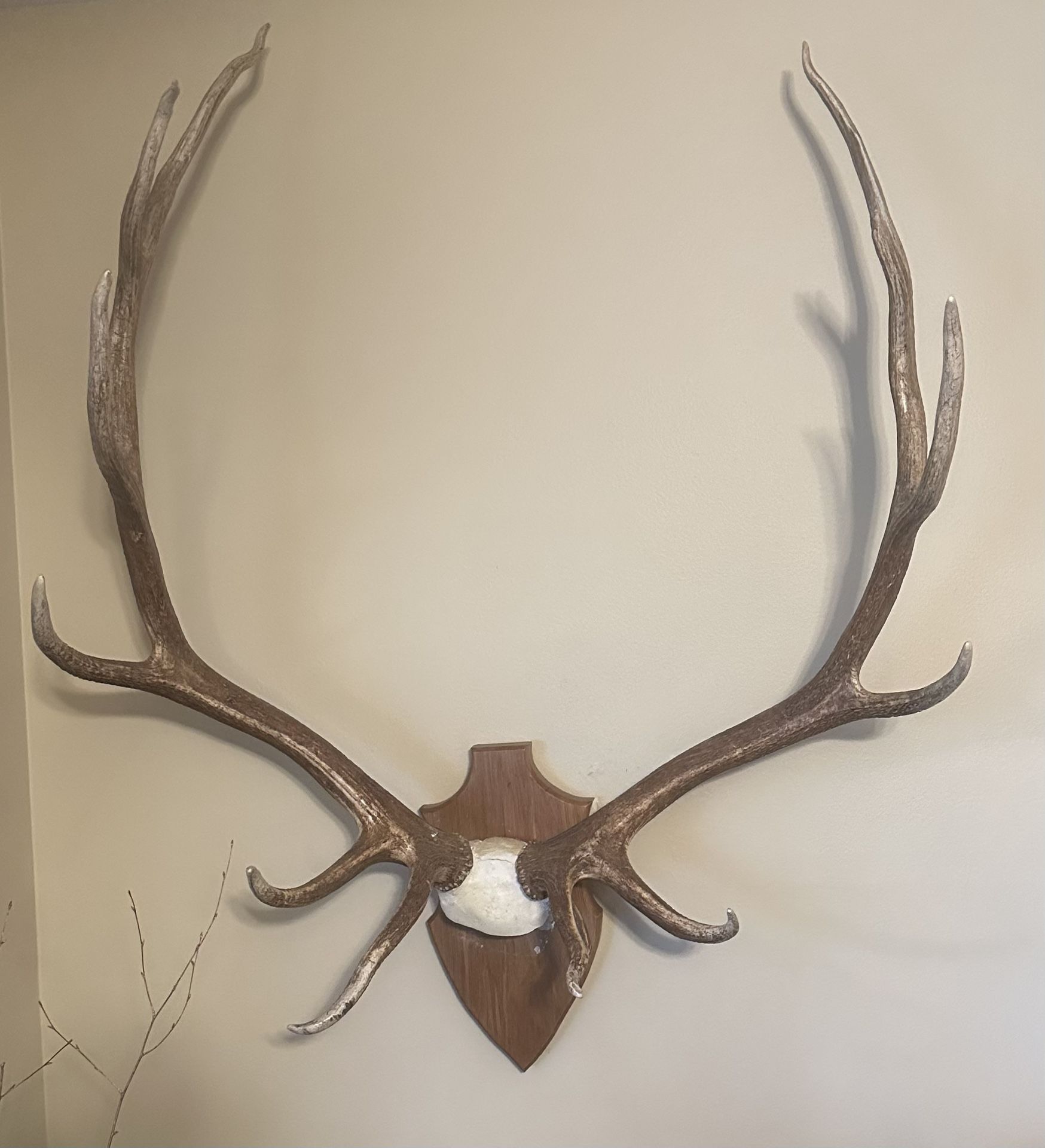 Antlers