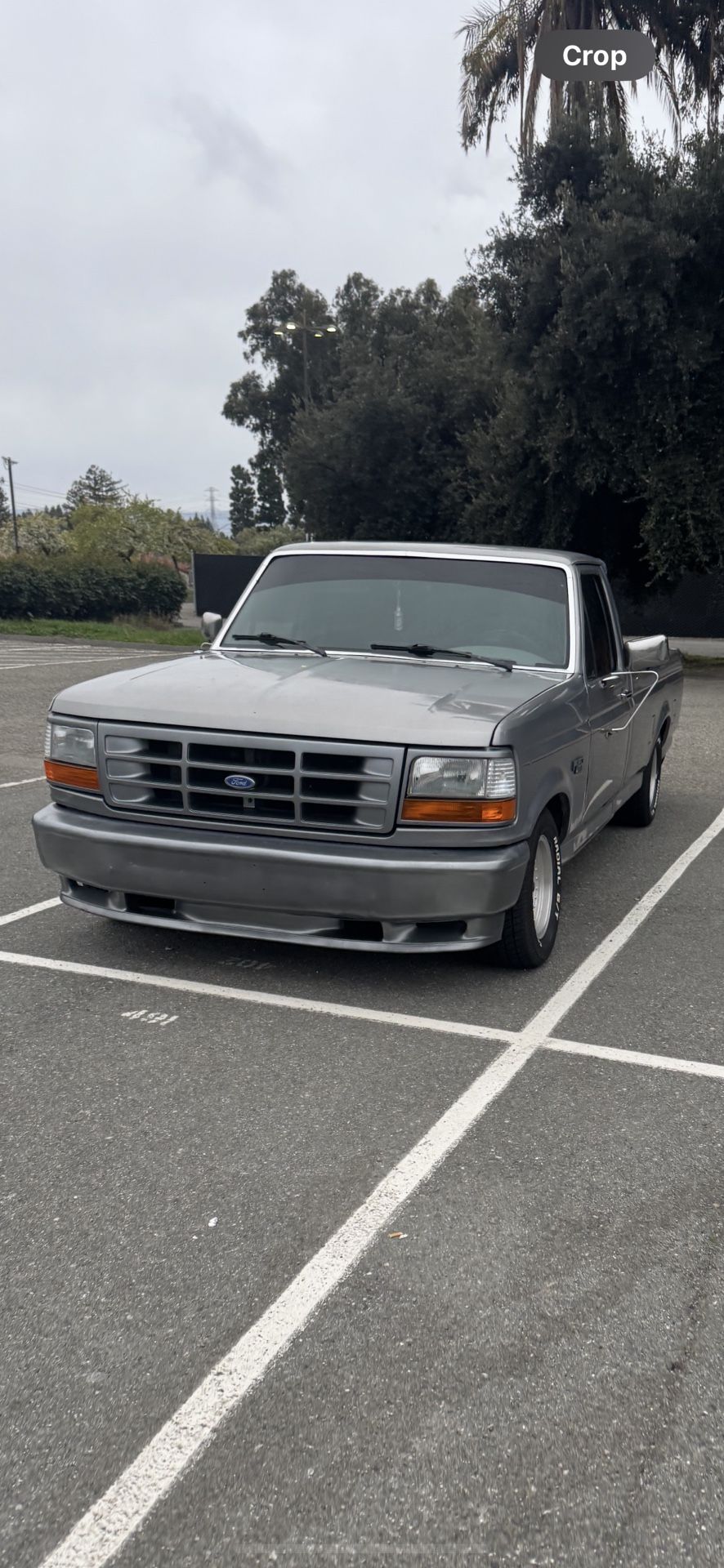1995 Ford F-150