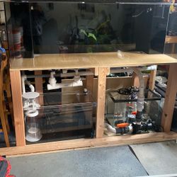 180 Gallon Brand New Tru Vu Acrylic Reef Set Up  