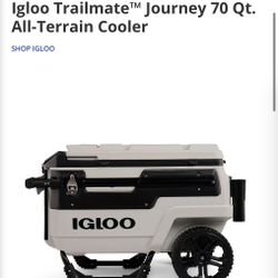 Igloo Cooler (Brand New)