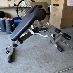  HOIS I Fitness 4.6六 87 HF-4263 Dual Adjustable Ab/Back Hyper Roman Chair Exercise Bench - Platinum