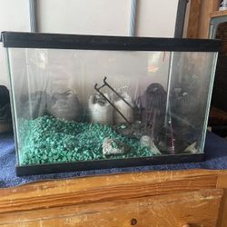 Fish Aquarium 