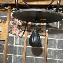 Speed Punching Bag