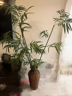 Bamboo With Wicker Vase 