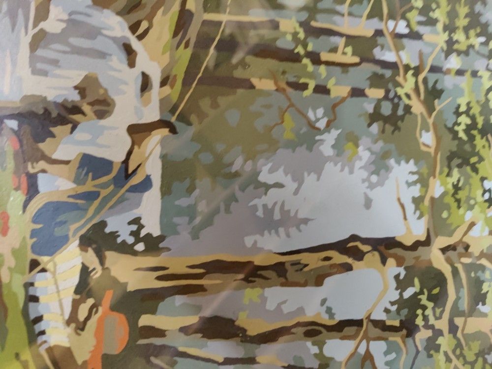 1950s Paint By Number Pic