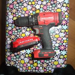 Craftsman Drill Driver 