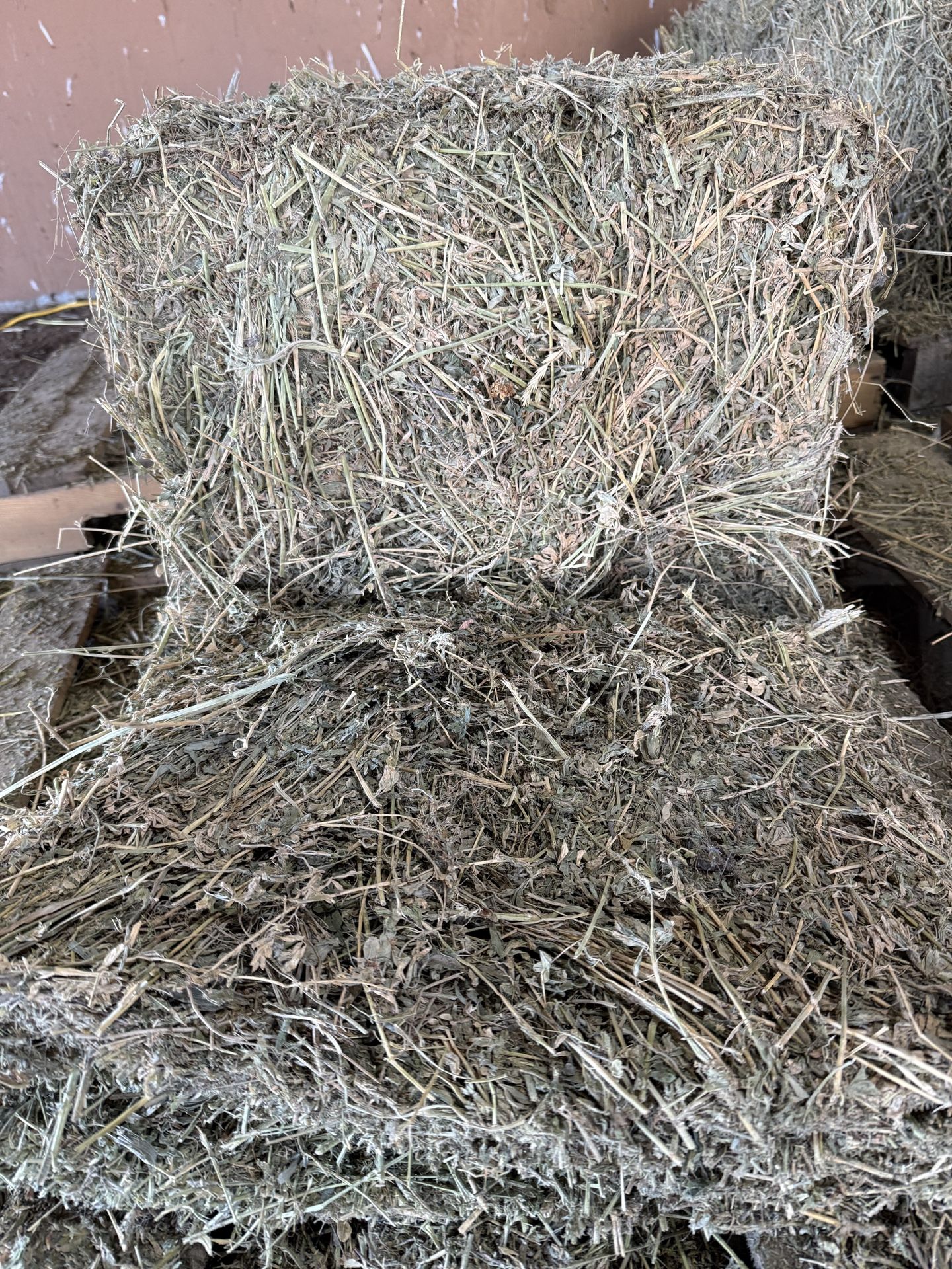 Alfalfa Hay