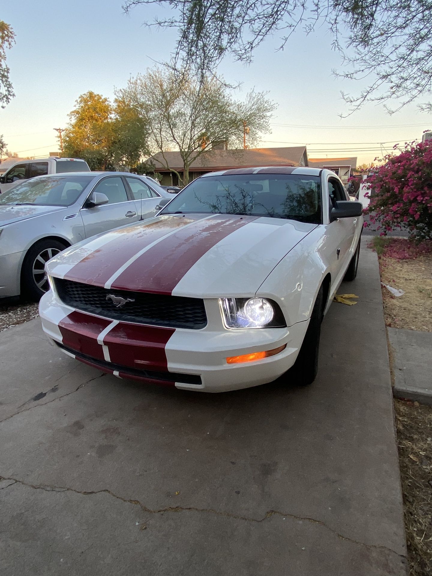 2005 Ford Mustang