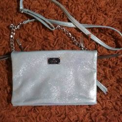 PRETTIEST LITTLE NICOLE SHIMMERY PURSE!