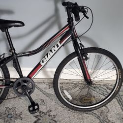 Giant Mountain bike “24”
