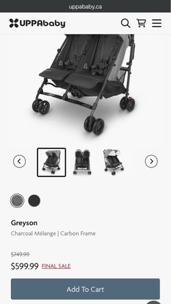 UPPAbaby double stroller