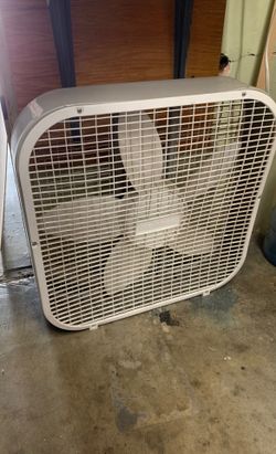 Fan