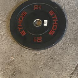 2 10 Pound Weights
